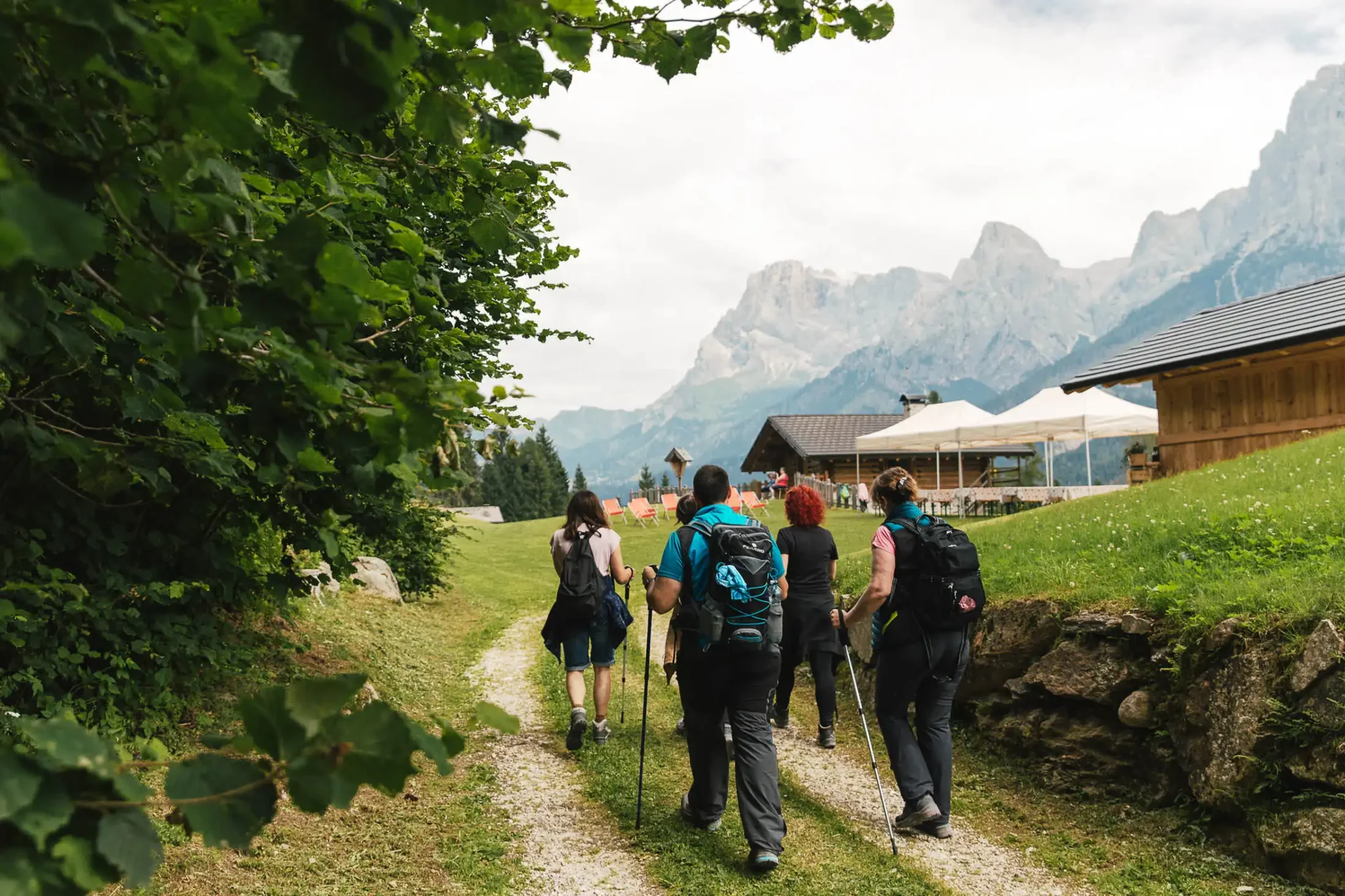 Un gruppo di escursionisti cammina su un sentiero di montagna circondato dal verde.