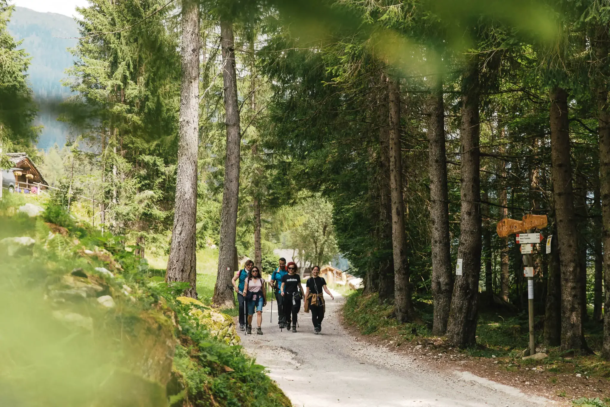 Un gruppo di escursionisti cammina su un sentiero boscoso in montagna.